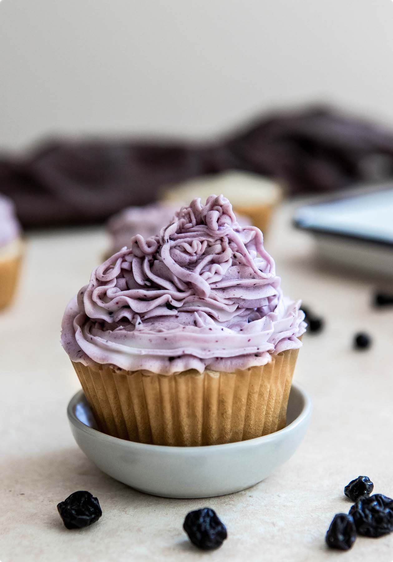 Blueberry Chocolate Cake with Blueberry Buttercream Frosting | Sizzle Eats