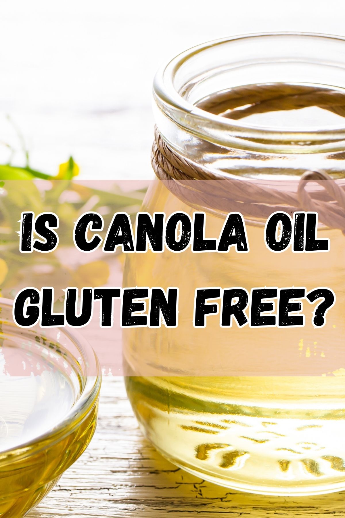 Is Canola Oil Gluten Free? Safe Gluten-Free Foods