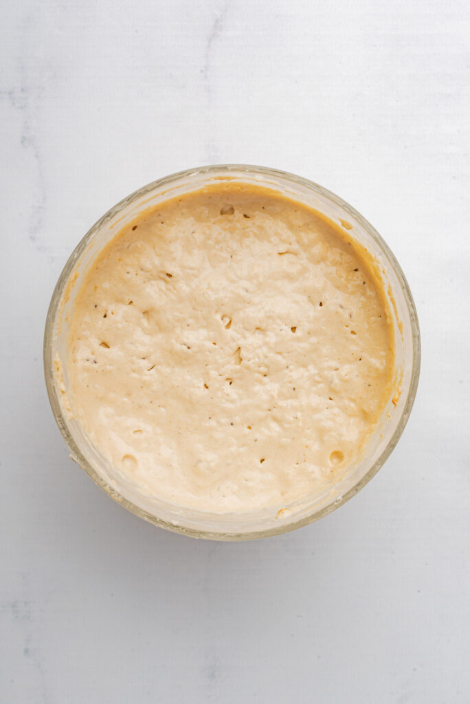 Gluten-Free Sourdough Starter