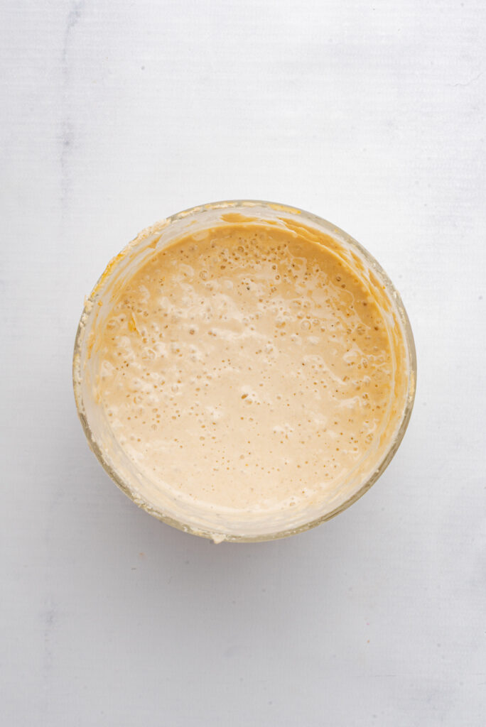 Gluten-Free Sourdough Starter