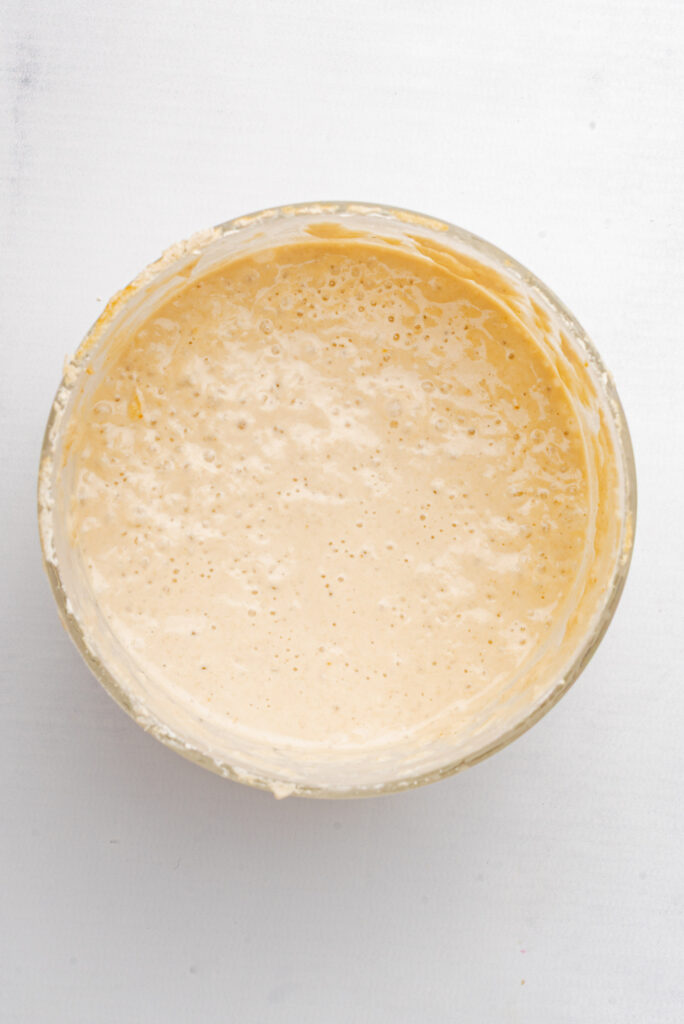 Gluten-Free Sourdough Starter