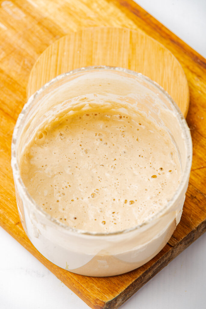 Gluten-Free Sourdough Starter