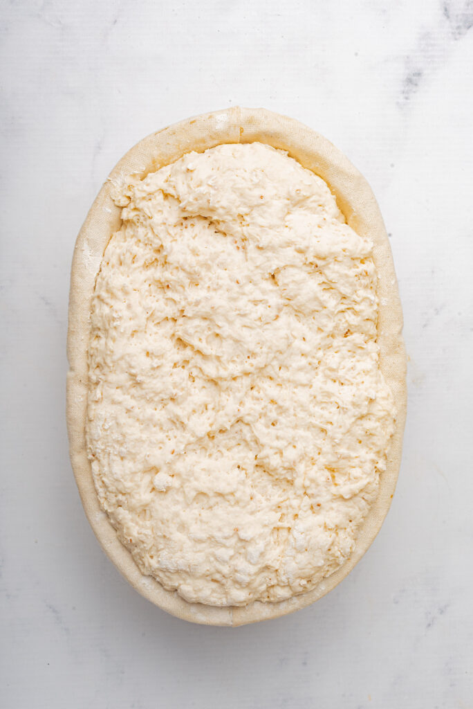 Gluten-Free Sourdough Bread